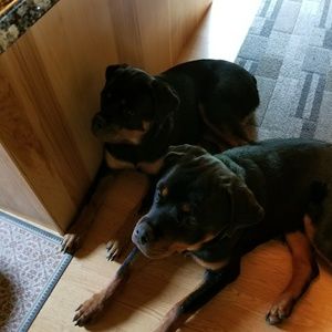 Meet your Posher, Sandra